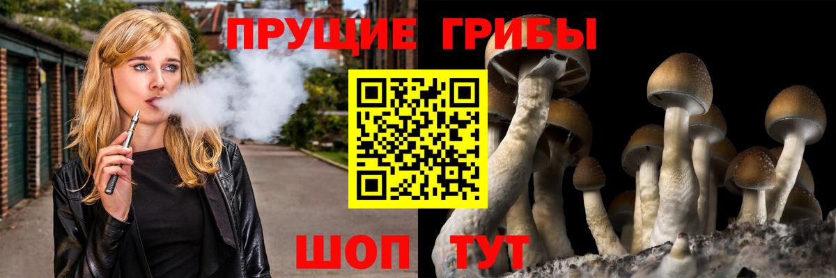 Галлюциногенные грибы мицелий  Галлюциногенные грибы мицелий  Астрахань  Вход с VPN 